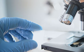 CE認證、FCC認證、FDA認證、BST